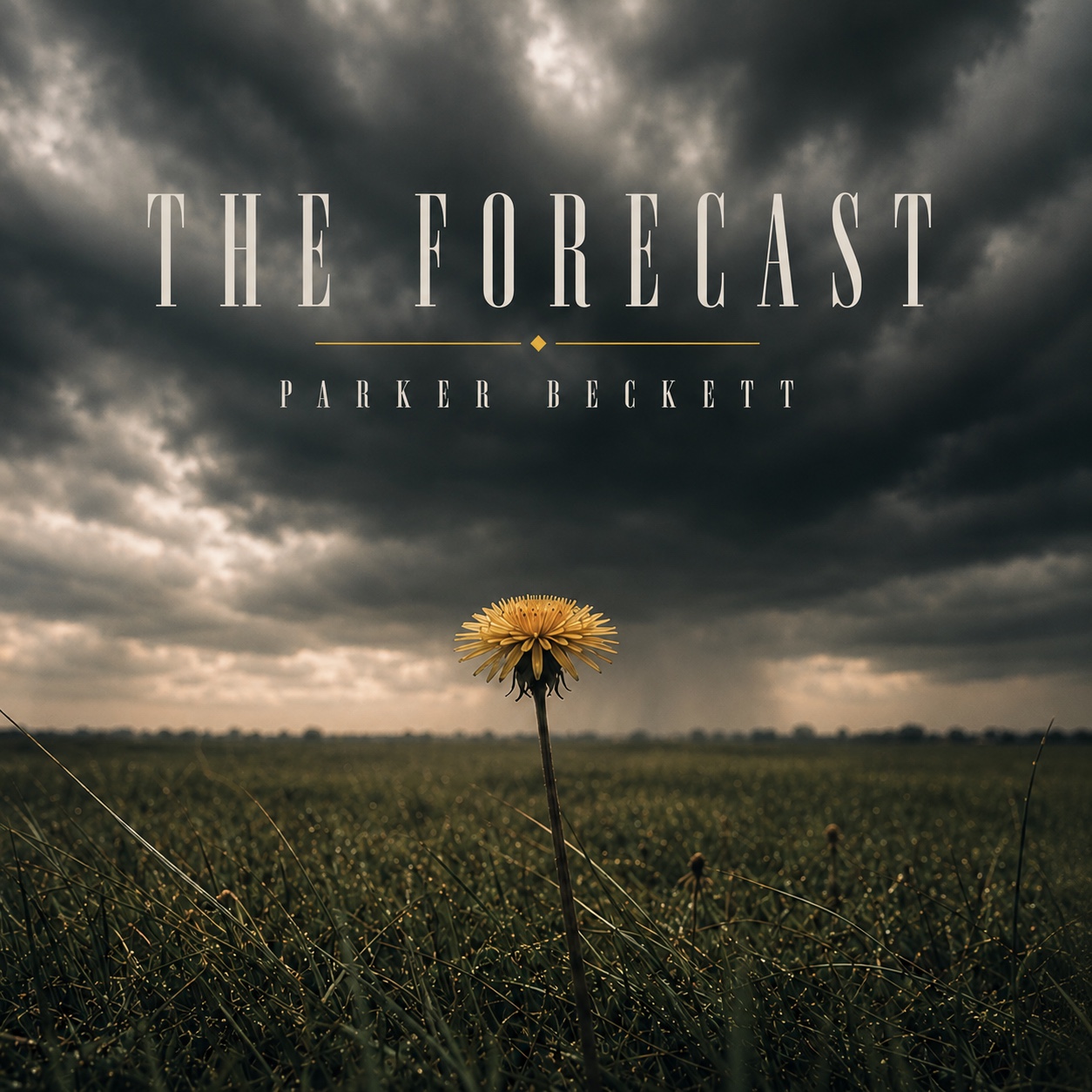 The Forecast album cover